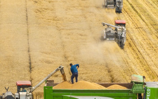 镜观中国｜良田舒卷！夯牢中国饭碗新底气(图4)