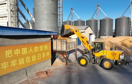 镜观中国｜良田舒卷！夯牢中国饭碗新底气(图5)