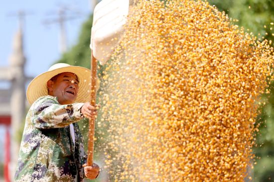 镜观中国｜良田舒卷！夯牢中国饭碗新底气(图7)