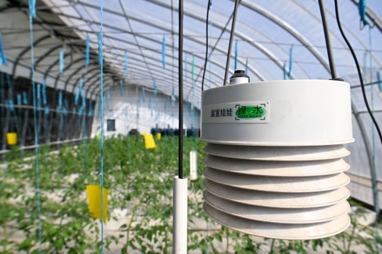 镜观中国｜良田舒卷！夯牢中国饭碗新底气(图10)