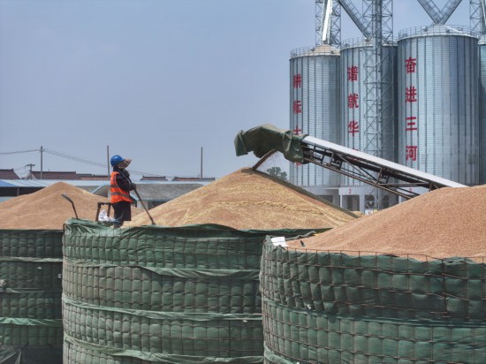 镜观中国｜良田舒卷！夯牢中国饭碗新底气(图11)