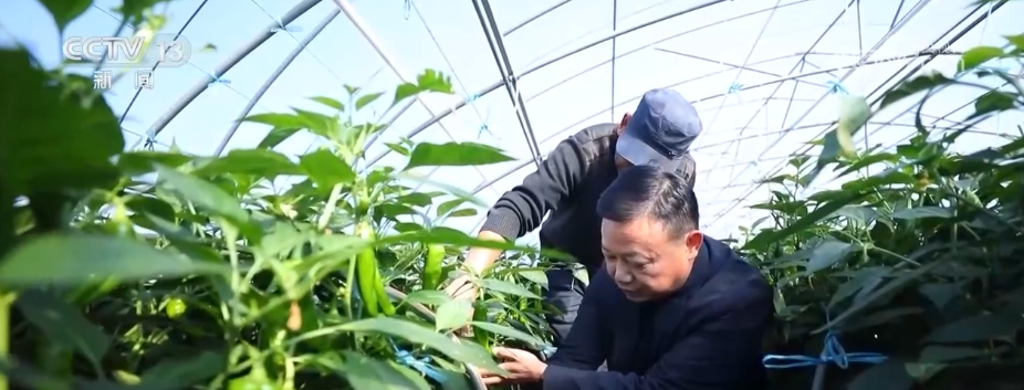 吃、赏、玩同频共振占据“C位”农业新吃法、新玩法助力产业走出“微笑曲线”(图3)