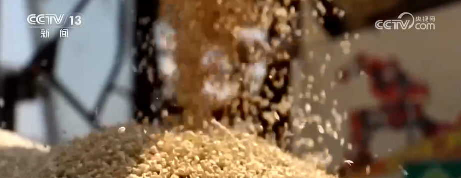 吃、赏、玩同频共振占据“C位”农业新吃法、新玩法助力产业走出“微笑曲线”(图8)