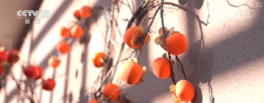 吃、赏、玩同频共振占据“C位”农业新吃法、新玩法助力产业走出“微笑曲线”(图16)