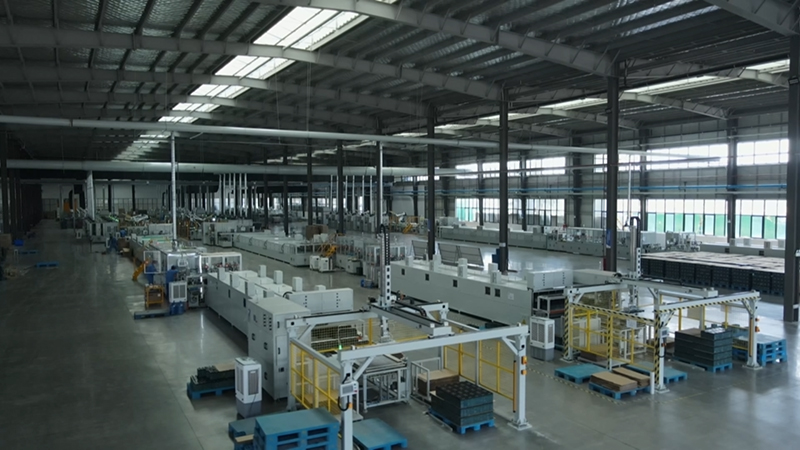 安博体育网站：安徽向前丨蔬菜大县闯出“新”名堂(图3)