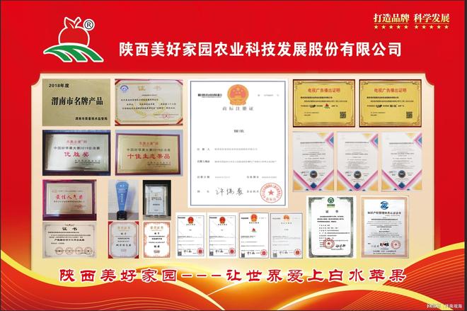 以科技赋能现代农业书写高质量发展新篇章——陕西美好家园农业(图2)