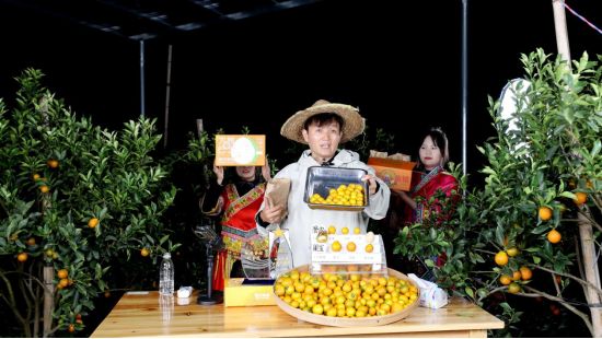 安博体育平台：金桔之夜闪耀珠海！融安金桔大湾区推介会即将甜蜜启幕(图3)