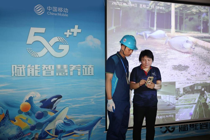 AI融农筑基智算兴业惠民(图2)