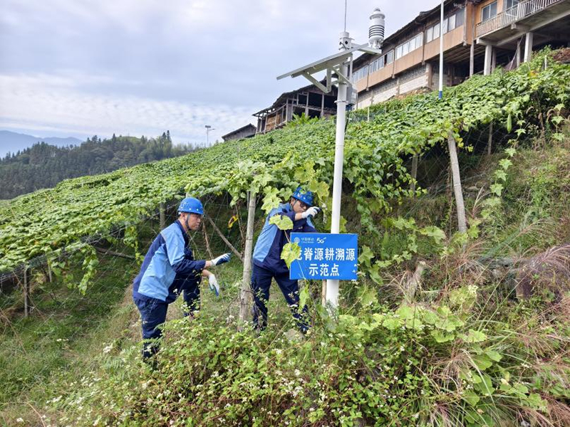 AI融农筑基智算兴业惠民(图3)