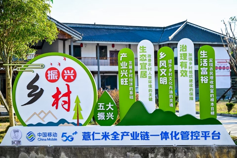 从花江峡谷大桥出发：探访“多彩贵州移起向新”(图11)