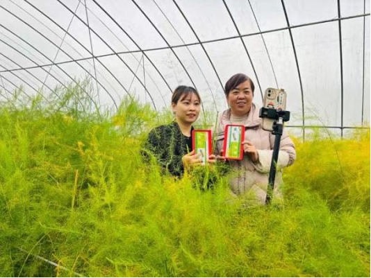 安博体育平台：数字技术深耕智慧农业齐鲁沃土结出“科技硕果”(图3)