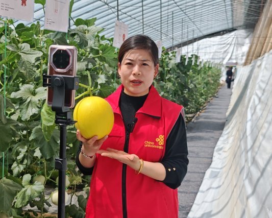 安博体育平台：数字技术深耕智慧农业齐鲁沃土结出“科技硕果”(图2)