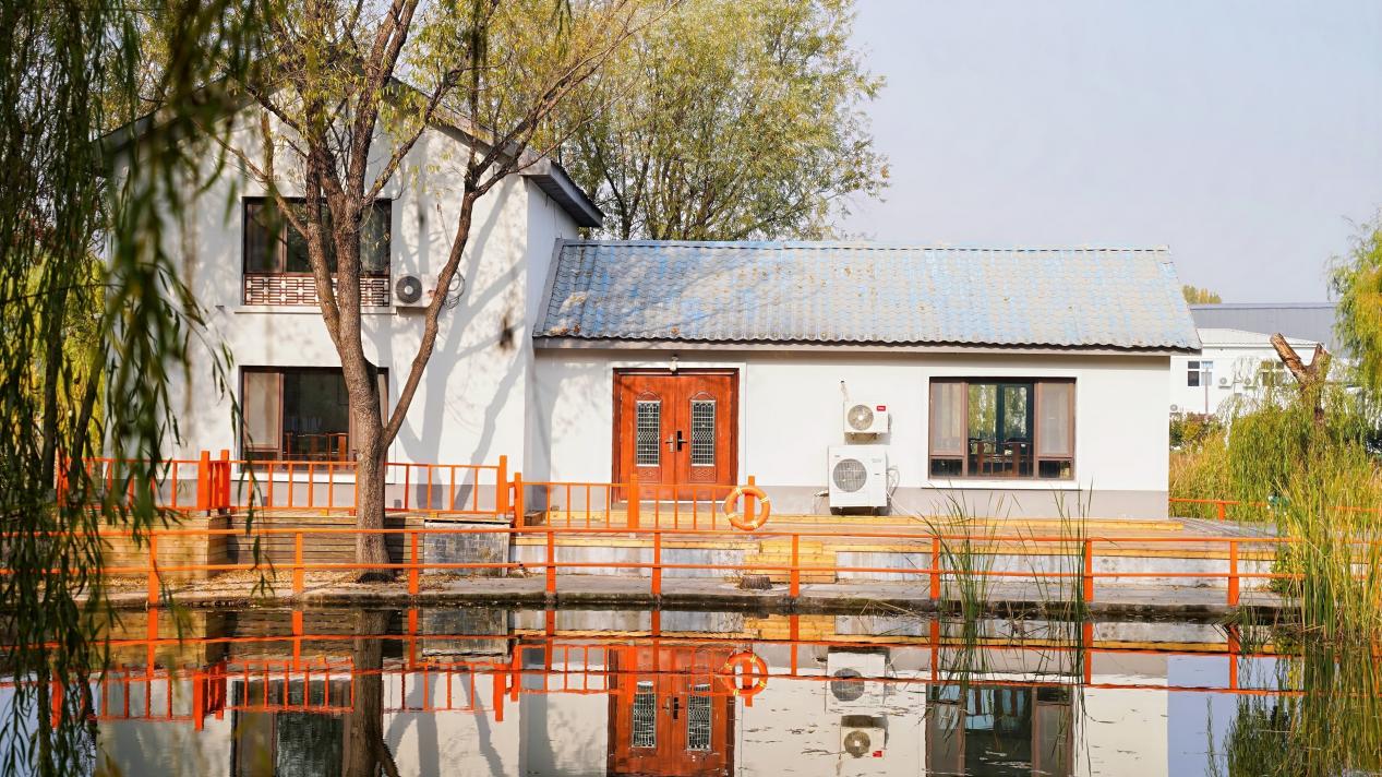 山海间的“丰”味答卷：青岛农品以创新实践联通城乡促共富(图7)