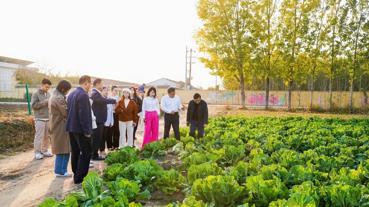 山海间的“丰”味答卷：青岛农品以创新实践联通城乡促共富(图12)