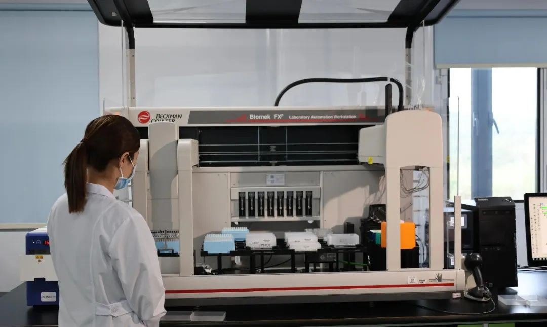 丰收季里看新兴！现代农业绘就“产业兴乡村美农民富”新图景(图2)