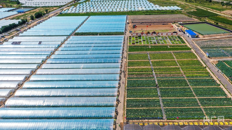 【竞速强省会14】“3+2+N”重塑榆中农业版图(图2)