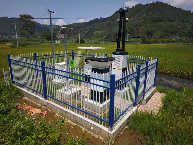 智赋沃野AI助业兴！右江区智慧农业多点开花启新程(图3)