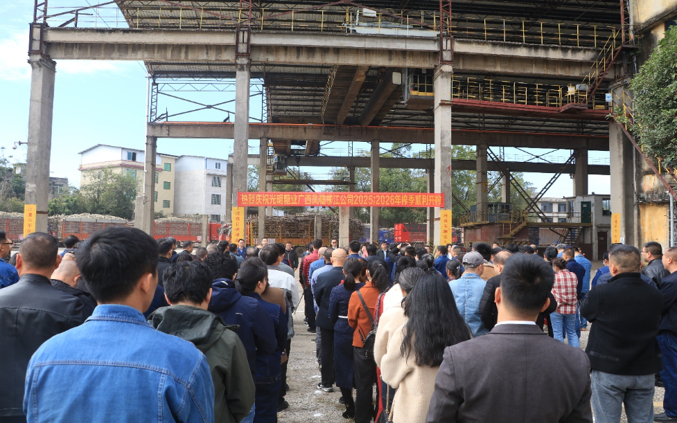 冲刺四季度决胜“全年红”！主流媒体奏响柳江奋进强音(图5)