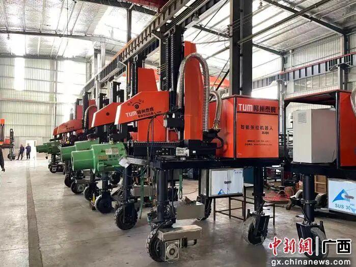 冲刺四季度决胜“全年红”！主流媒体奏响柳江奋进强音(图6)