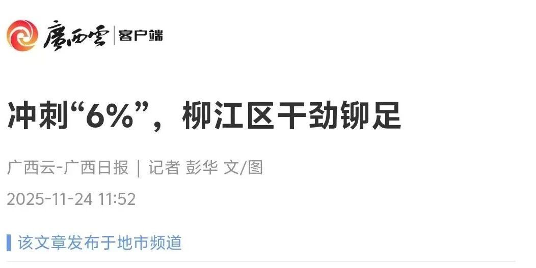 冲刺四季度决胜“全年红”！主流媒体奏响柳江奋进强音(图9)