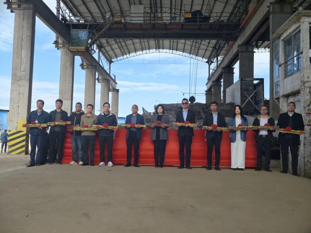 冲刺四季度决胜“全年红”！主流媒体奏响柳江奋进强音(图15)