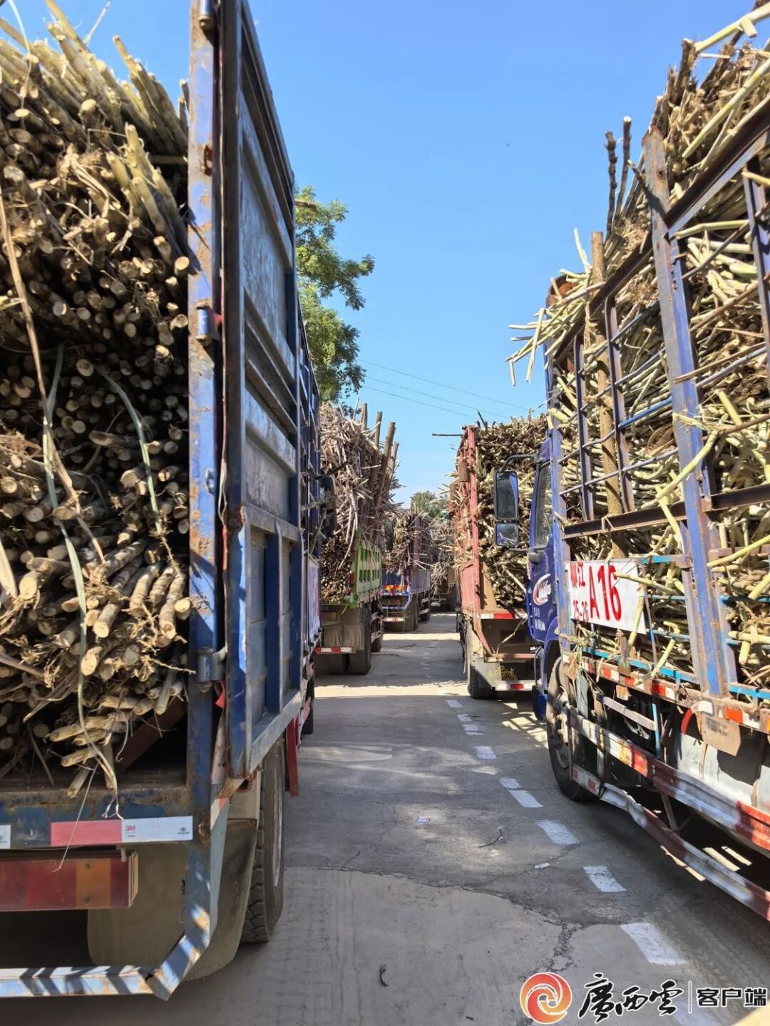 冲刺四季度决胜“全年红”！主流媒体奏响柳江奋进强音(图12)