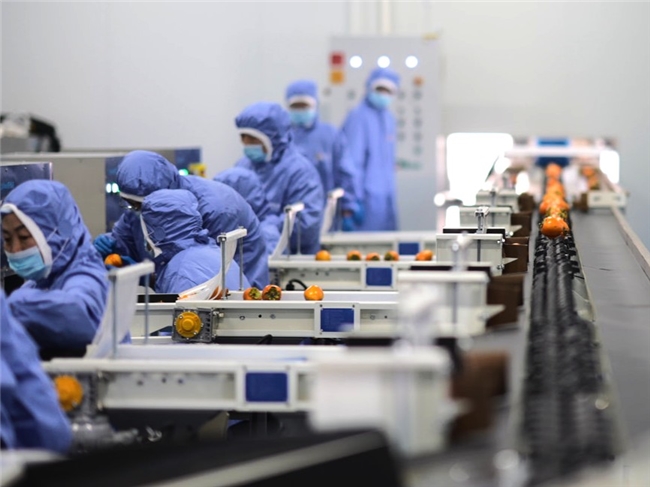 中国三星助力乡村振兴有“质”更有“智”(图2)