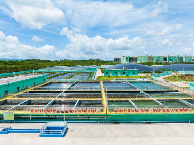 东瑞股份董事长袁建康：打造“生猪全产业链”深加工迈向1亿元产值目标(图2)