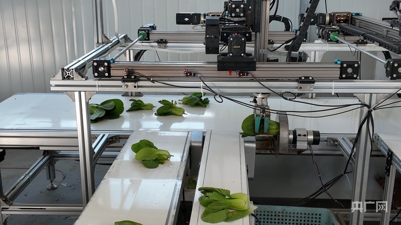 喜看家乡新变化陕西留坝：绘就乡村振兴新图景(图6)