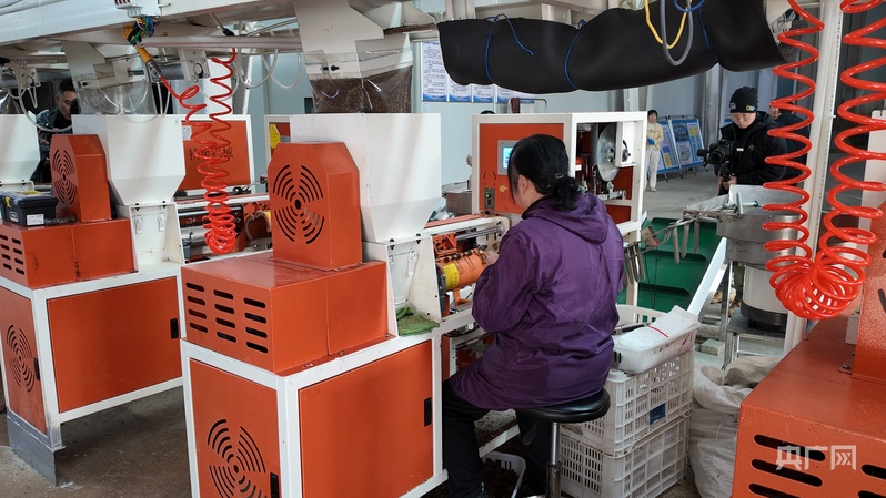 喜看家乡新变化陕西留坝：绘就乡村振兴新图景(图9)