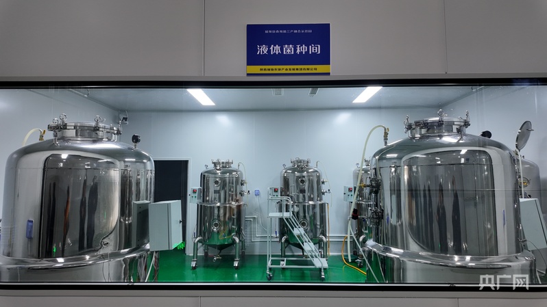 喜看家乡新变化陕西留坝：绘就乡村振兴新图景(图7)