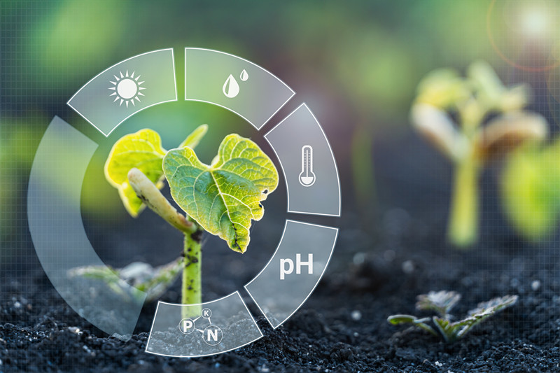 安博体育：农业AI大模型智慧农业如何成为现代化转型的关键？(图2)