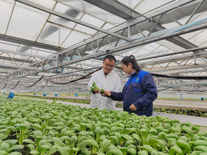 “硬核”潍坊:凭动力乘风以底蕴破浪(图2)