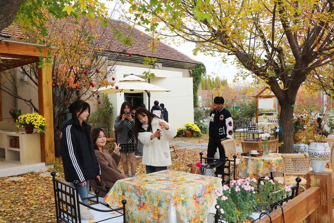 “硬核”潍坊:凭动力乘风以底蕴破浪(图5)