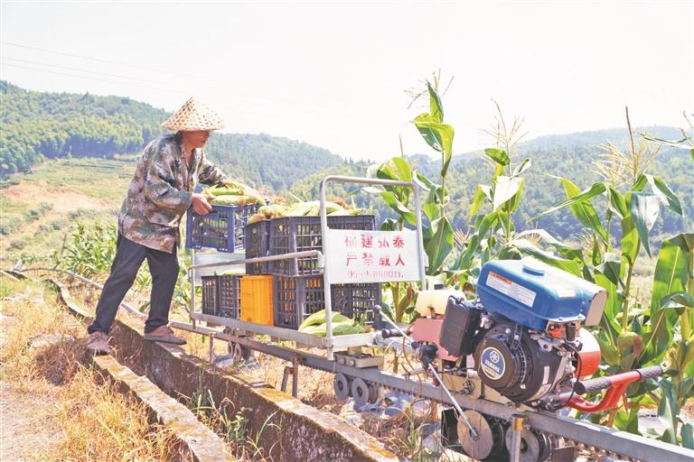 宁德山区农业机械化应用取得实效灵巧农机“慧”耕山地(图2)