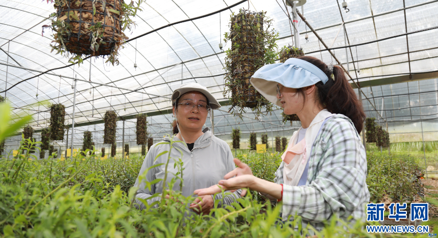 聚焦高质量发展｜科技创新！云南从“追光者”到“领航者”_新华网(图2)