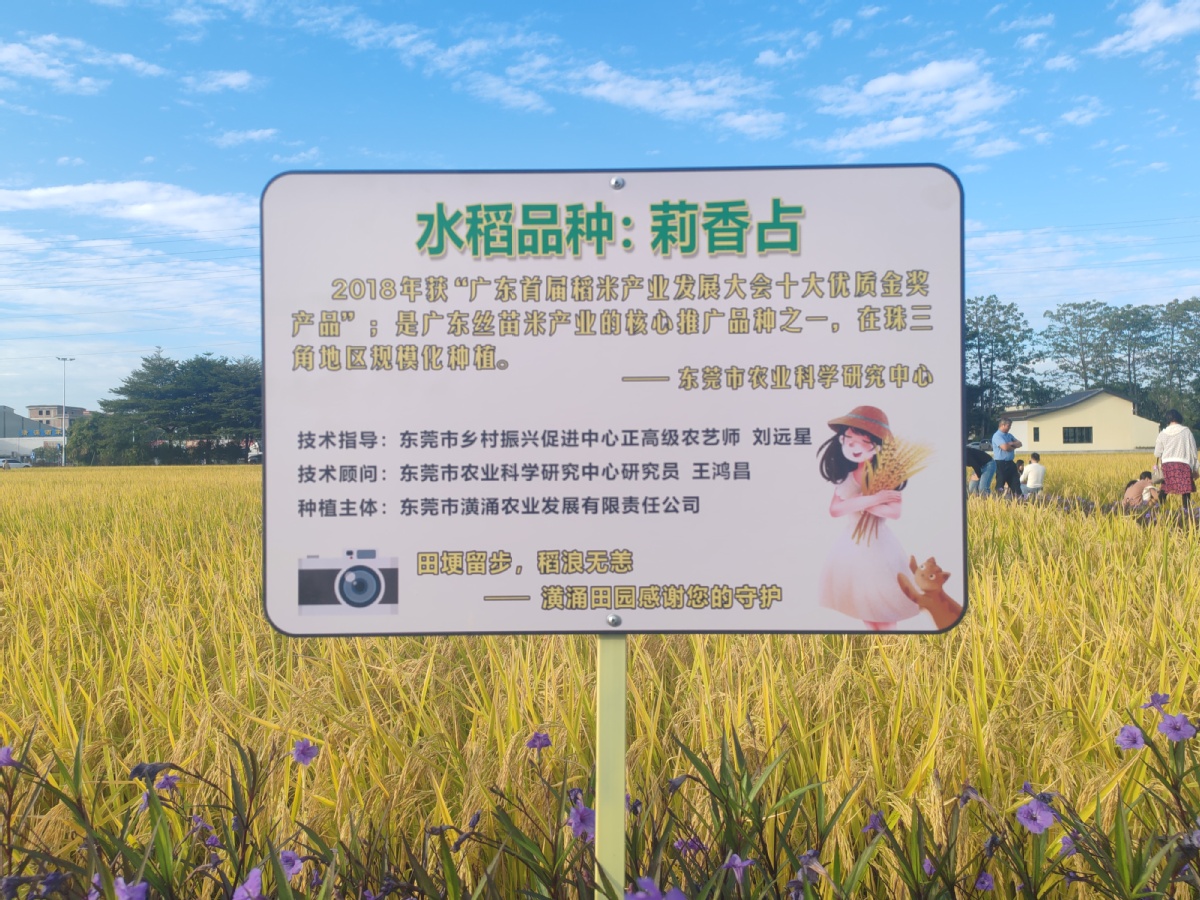 安博体育：百千万工程三年初见成效｜东莞都市现代农业提质增效(图5)