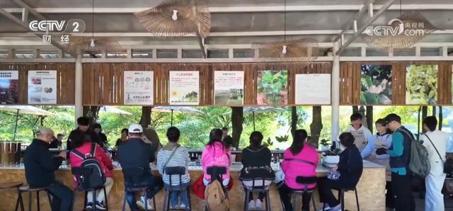 安博体育:云咖产业“出圈”冲进文旅赛道“咖啡+”融合带动乡村体验“焕新”(图5)