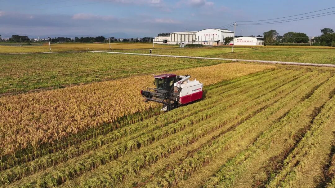 安博体育：贵港市大力推进人工智能赋能现代农业高质量发展新闻发布会在城区举办(图3)
