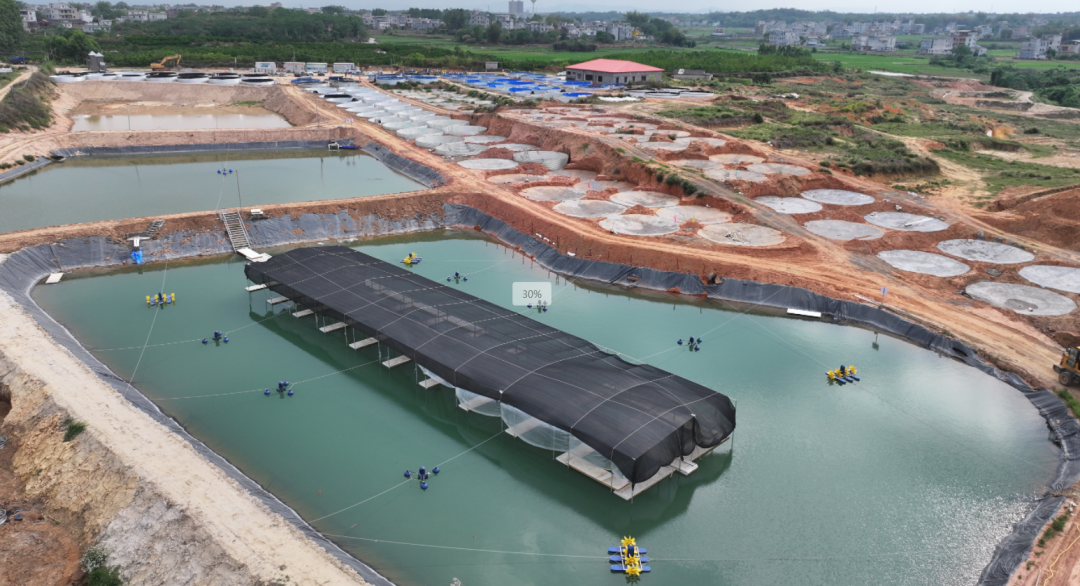 安博体育：贵港市大力推进人工智能赋能现代农业高质量发展新闻发布会在城区举办(图5)