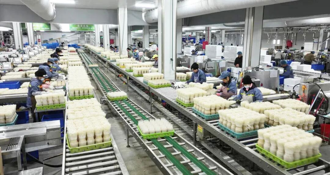 安博体育：贵港市大力推进人工智能赋能现代农业高质量发展新闻发布会在城区举办(图6)