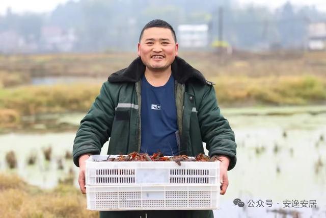 “十四五”安居答卷丨深耕沃野绘新卷振兴乡村谱华章(图5)