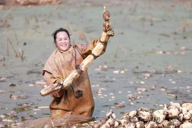 “十四五”安居答卷丨深耕沃野绘新卷振兴乡村谱华章(图7)