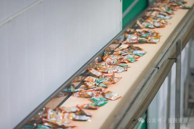 “十四五”安居答卷丨深耕沃野绘新卷振兴乡村谱华章(图9)