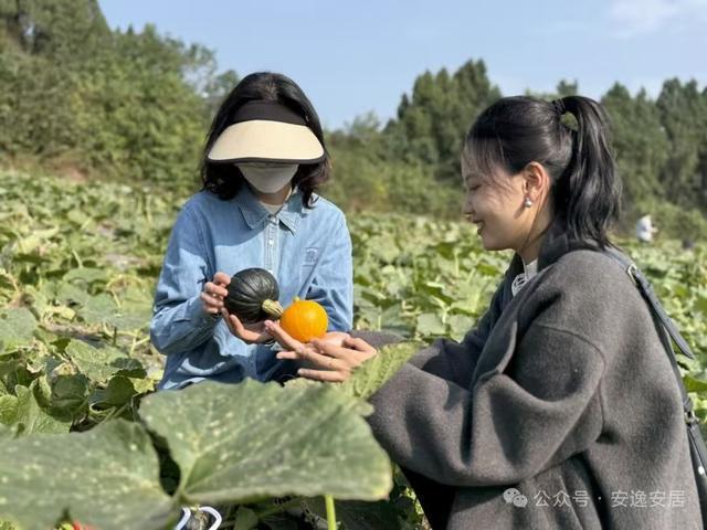 “十四五”安居答卷丨深耕沃野绘新卷振兴乡村谱华章(图15)