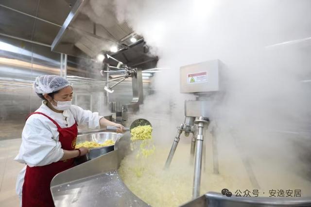 “十四五”安居答卷丨深耕沃野绘新卷振兴乡村谱华章(图13)