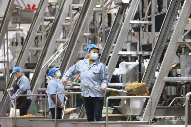 “十四五”安居答卷丨深耕沃野绘新卷振兴乡村谱华章(图8)