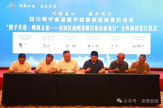 “十四五”安居答卷丨深耕沃野绘新卷振兴乡村谱华章(图11)