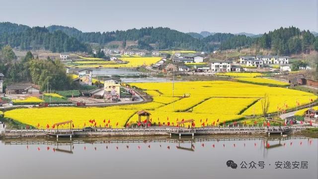 “十四五”安居答卷丨深耕沃野绘新卷振兴乡村谱华章(图17)