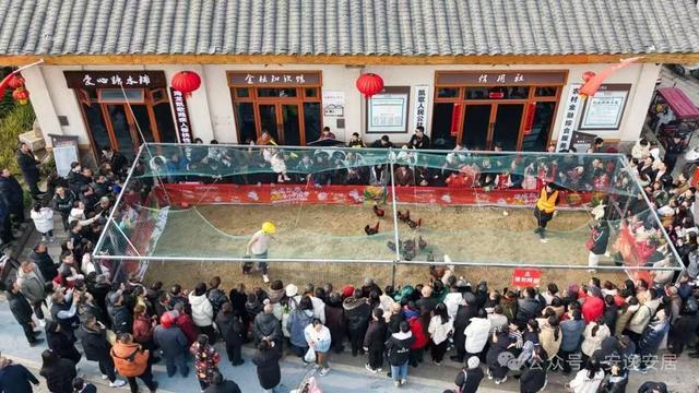 “十四五”安居答卷丨深耕沃野绘新卷振兴乡村谱华章(图18)